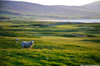 Brora Golf Course 3rd Hole Scotland